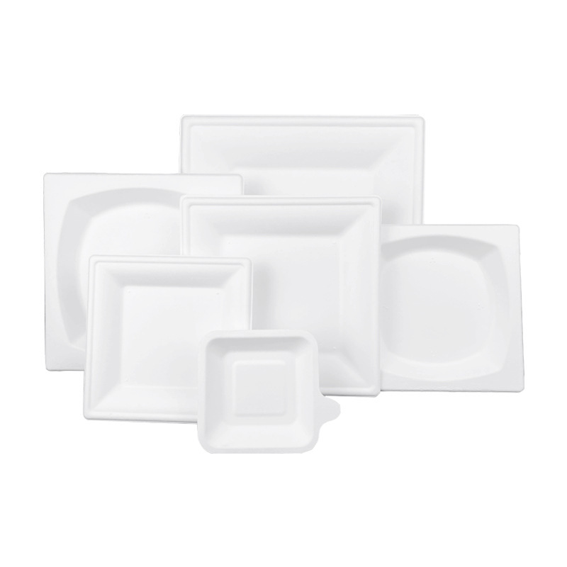 Eco-friendly, compostable, and biodegradable square disposable sugarcane plates—suitable for parties, dinners, and birthdays.