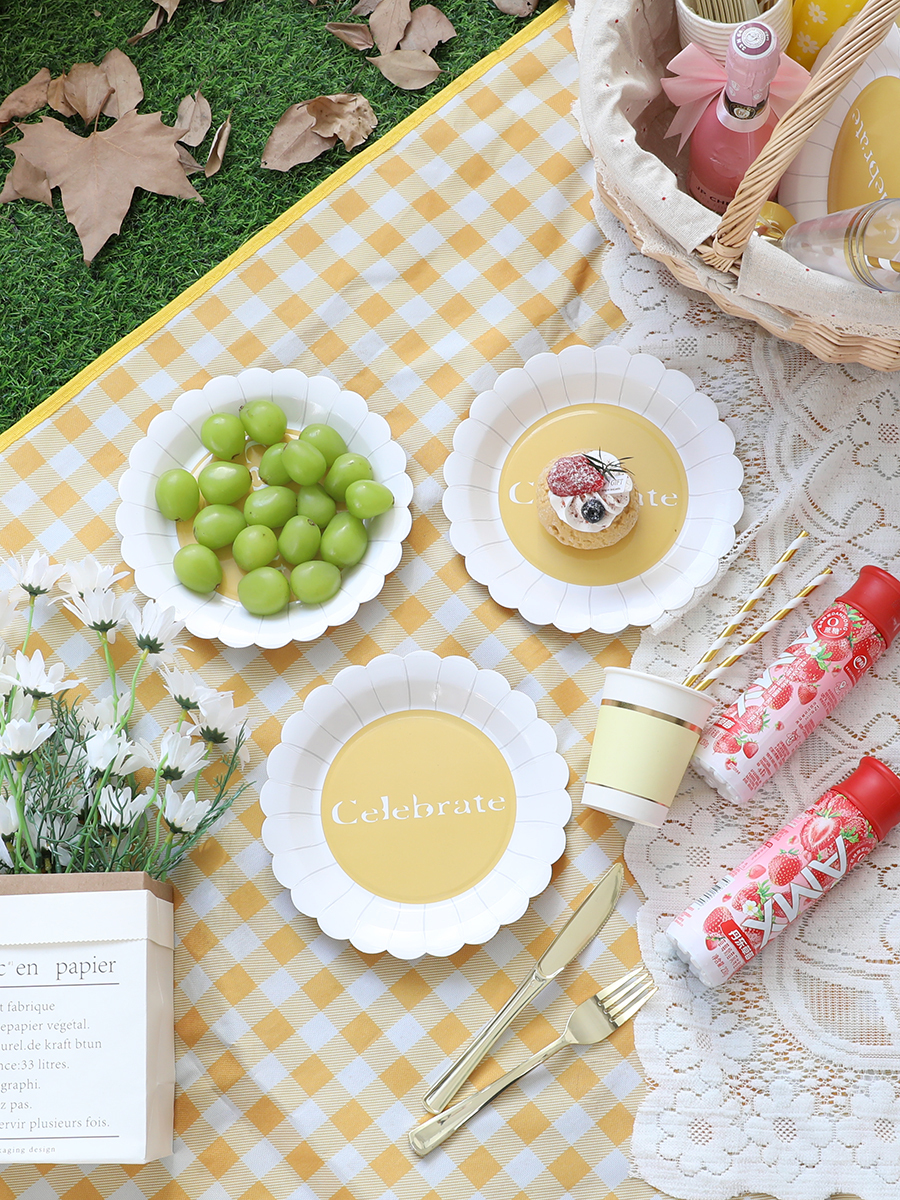 Best-selling Disposable Party Plates for Kids' Birthdays – Food-Grade, Eco-Friendly Plates for Camping, Cake, Snacks, and Milk