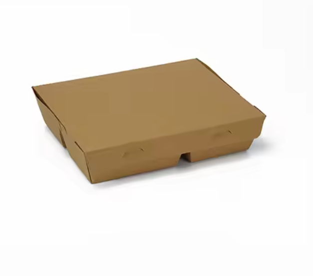 Customized Paper Snack/Fast Food/Salad/Lunch Box with Compartments