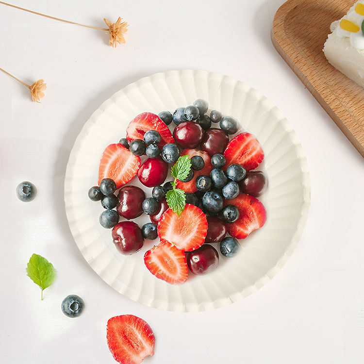 High-quality food-grade eco-friendly white paper plates are suitable for wedding parties.