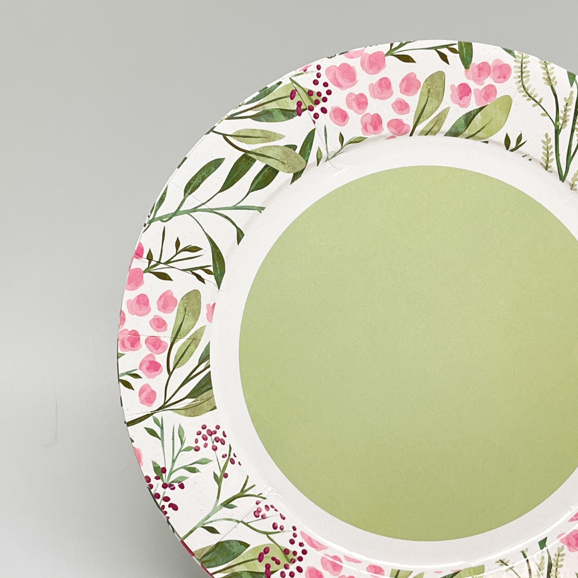 Best-selling eco-friendly, biodegradable, disposable paper plates with custom designs—perfect for picnics and parties.